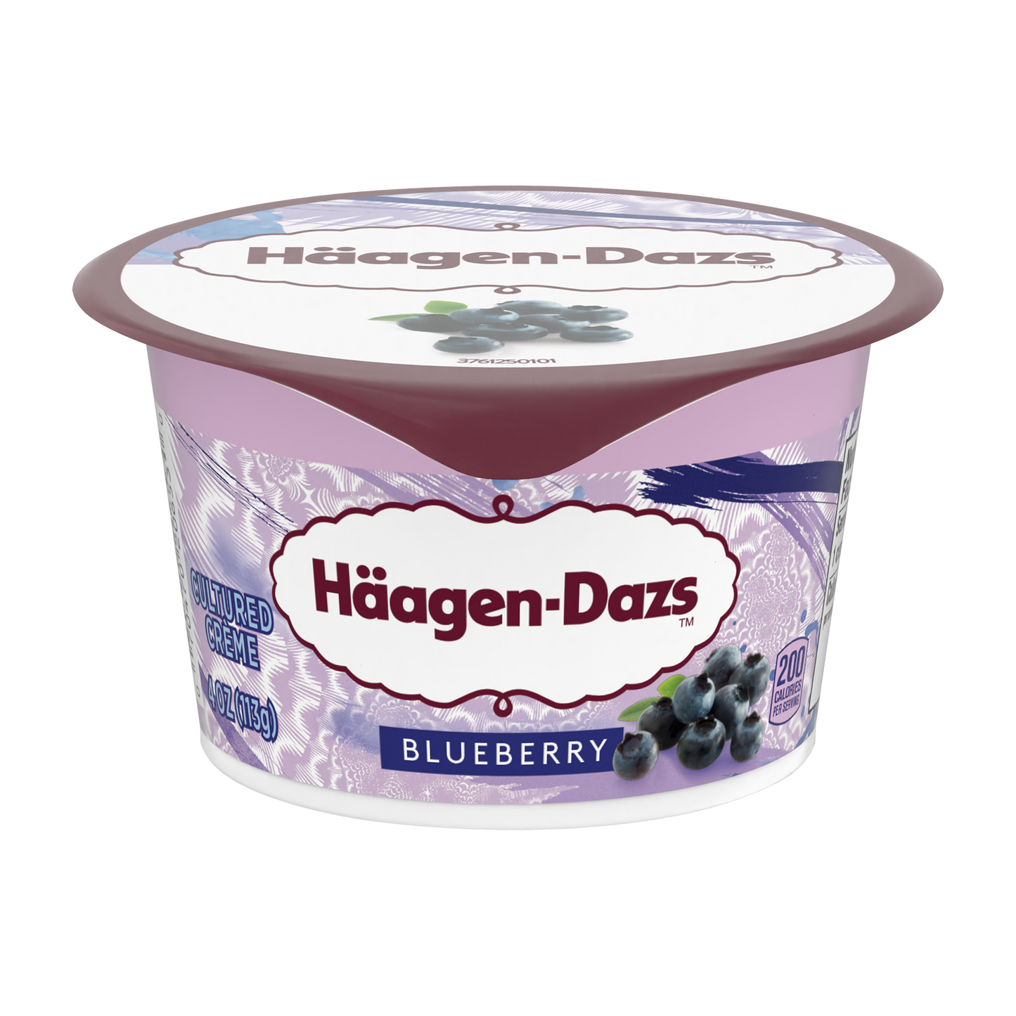 Haagen Dazs Blueberry Yogurt, Front of Pack